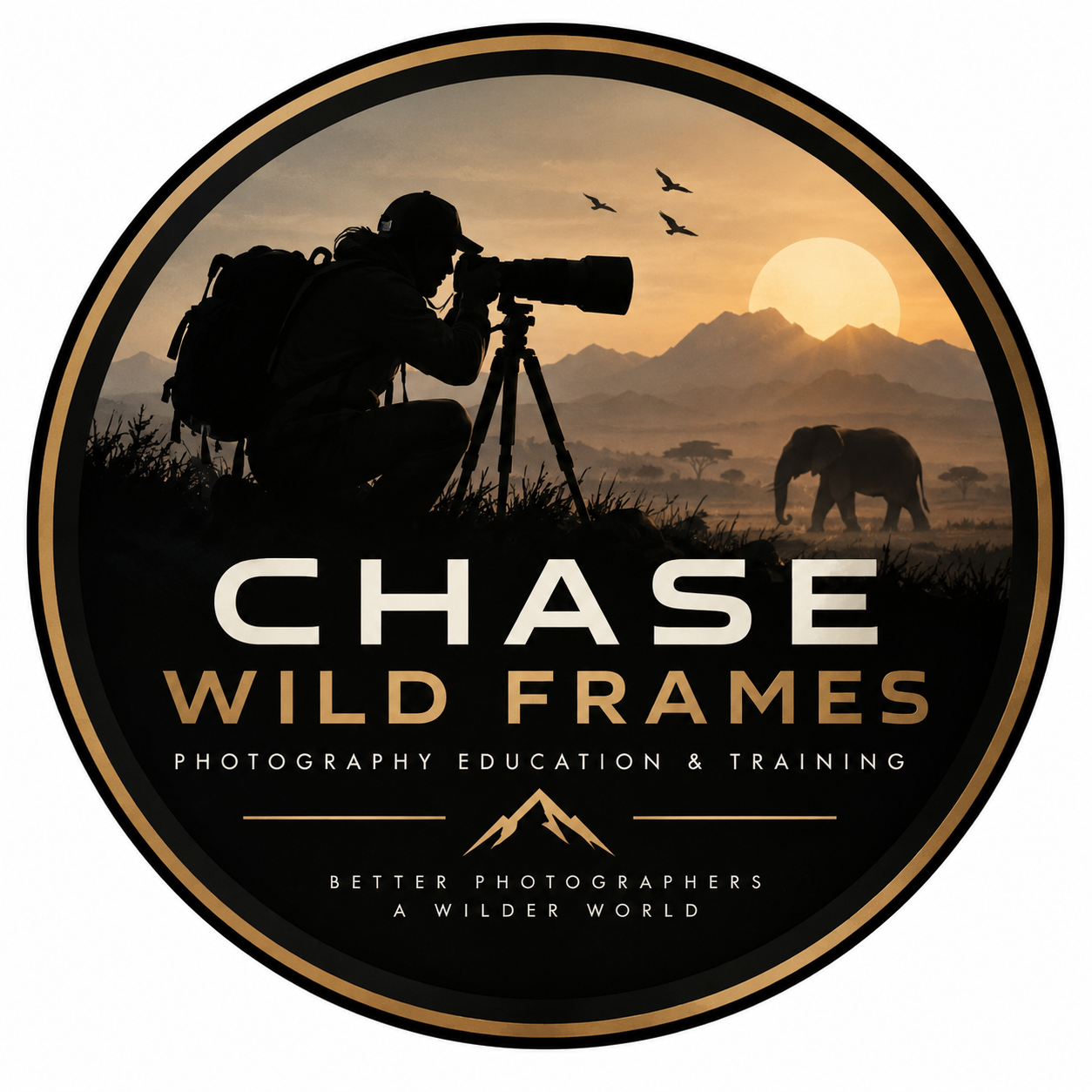 Chase Wild Frames