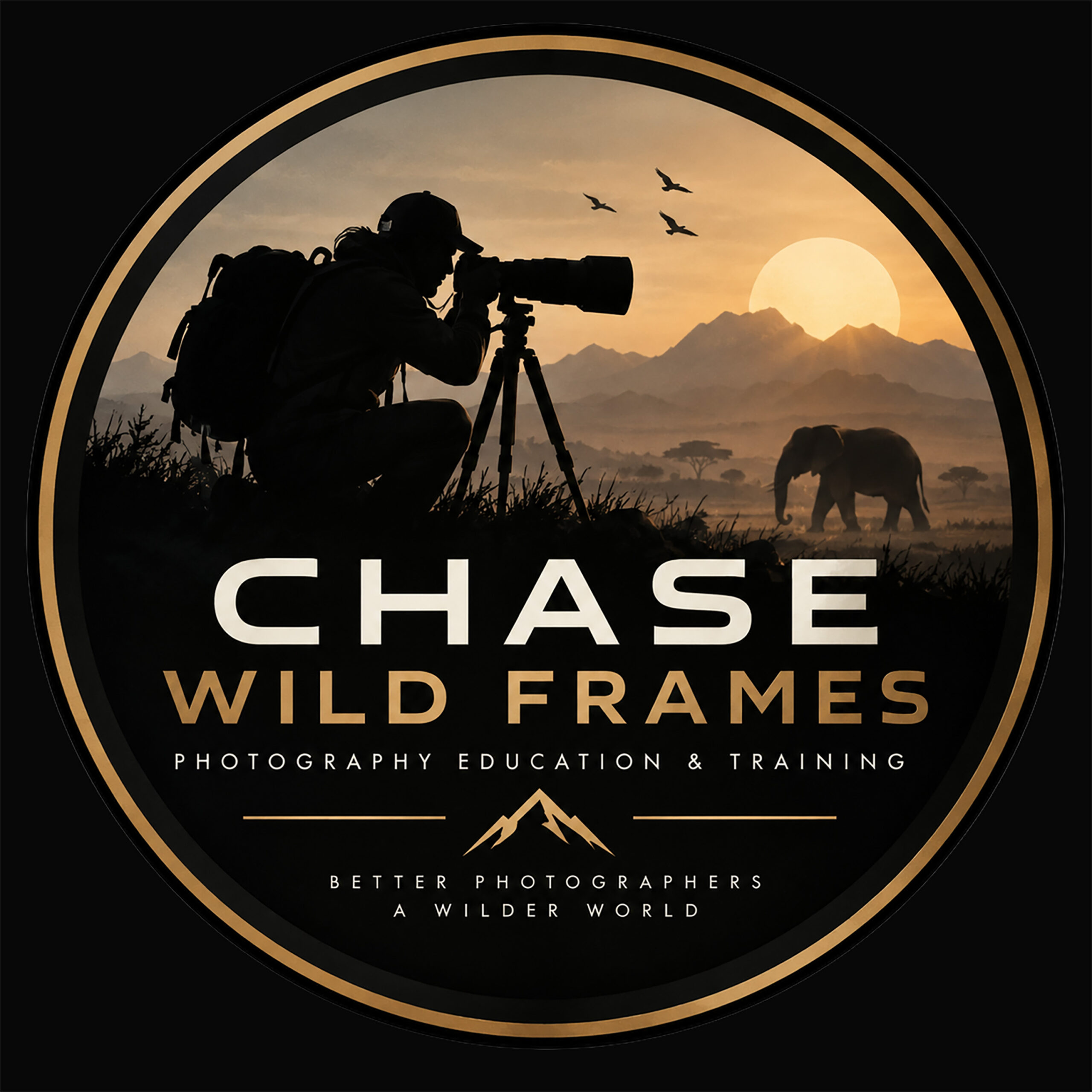 The Chase Wild Frames Podcast cover art