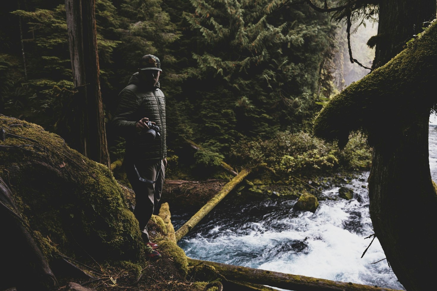 Field Craft 101: Approaching Wildlife Without Causing Disturbance