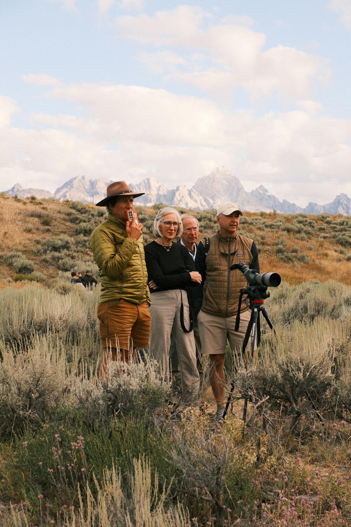 Understanding Light and Composition in Dense Forest Habitats